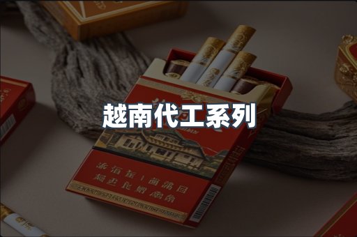 越南代工系列